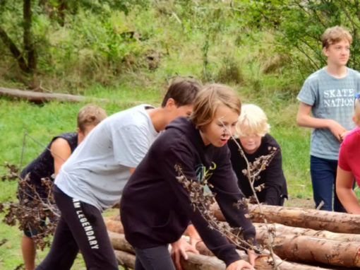 Scouts – Lichtblauwe Troep